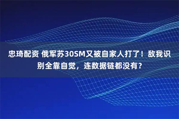 忠琦配资 俄军苏30SM又被自家人打了！敌我识别全靠自觉，连数据链都没有？