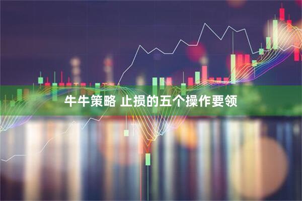 牛牛策略 止损的五个操作要领