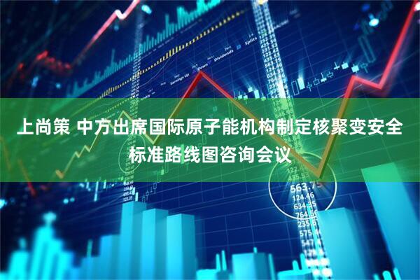 上尚策 中方出席国际原子能机构制定核聚变安全标准路线图咨询会议