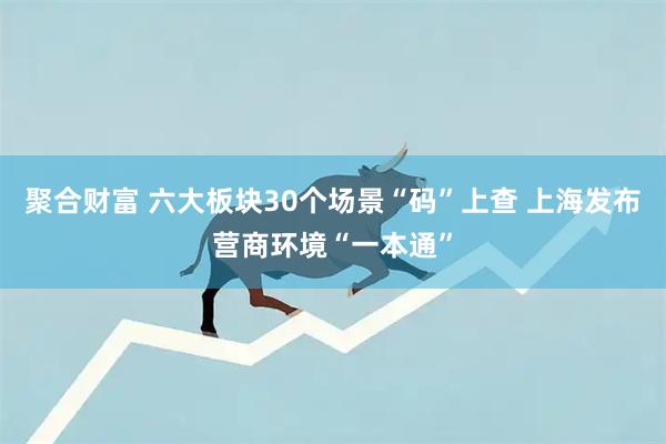 聚合财富 六大板块30个场景“码”上查 上海发布营商环境“一本通”