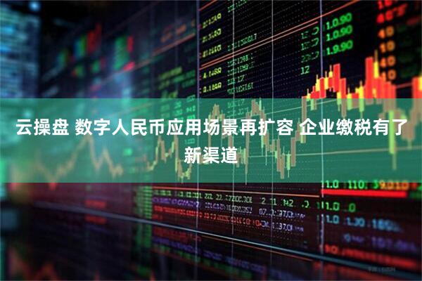 云操盘 数字人民币应用场景再扩容 企业缴税有了新渠道