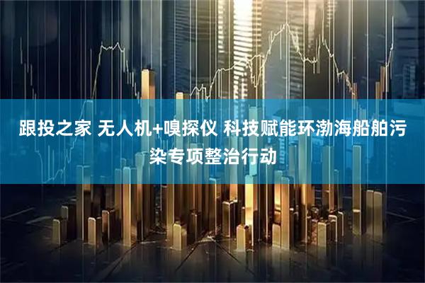 跟投之家 无人机+嗅探仪 科技赋能环渤海船舶污染专项整治行动