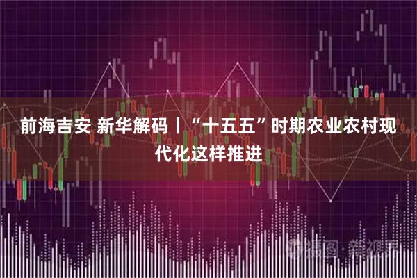 前海吉安 新华解码丨“十五五”时期农业农村现代化这样推进